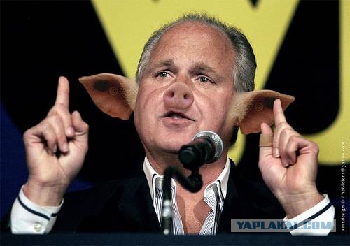 Это любовь. Однозначно!