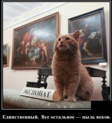 55 демотиваторов опять
