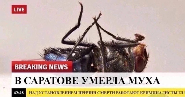 Всего понемногу. От 26.08.24