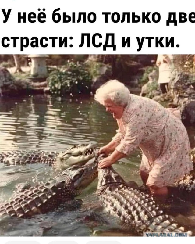 Зеленский предложил прекратить удары по энергообъектам для завершения конфликта