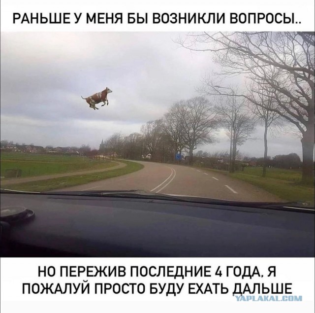Картинки не для всех