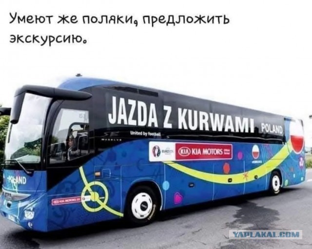 Хороши!