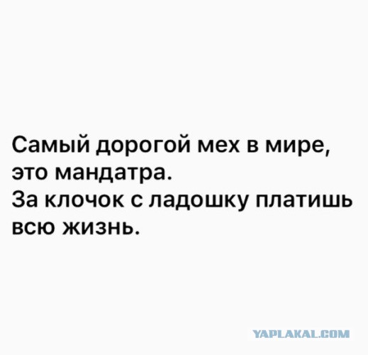 Авось найдётся добрый молодец и осчастливит девушку