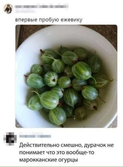 Веселое настроение в картинках 27.07.25