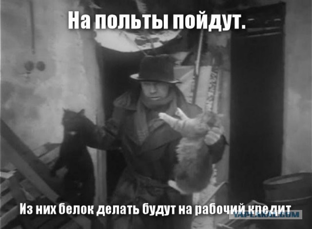 И вот что с ним делать за это?