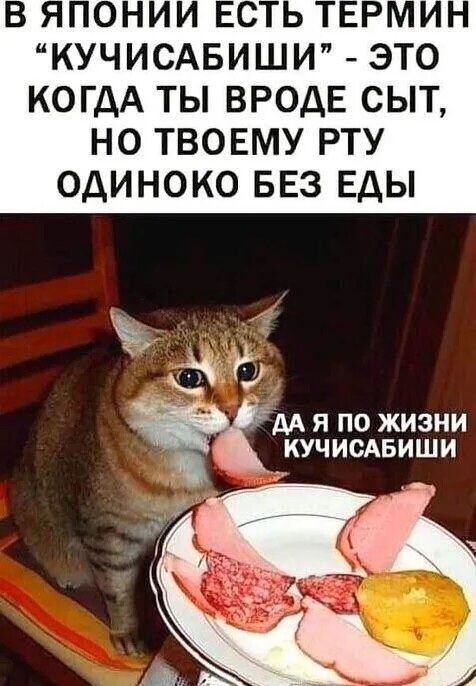 К котовторнику: подборка картинок-баянов с котиками и про котиков. Выпуск 27.