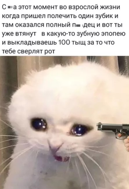 Картиночки, баянчики 26 марта