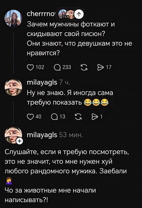 Картиночки, баянчики 15 июня