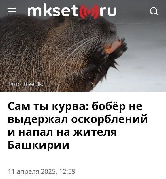 Картинки для деградации 280 (разной степени свежести)