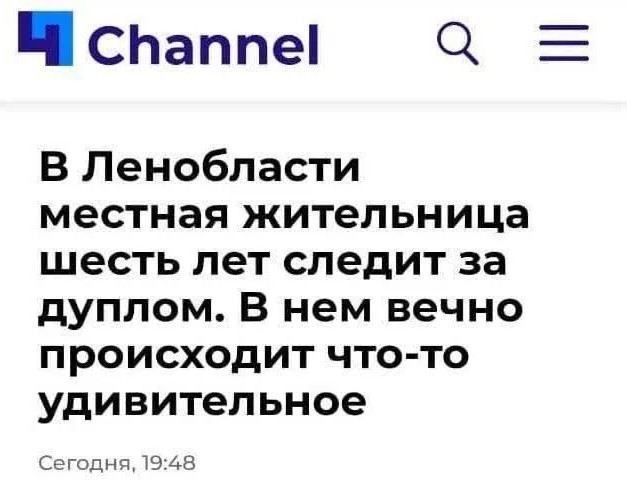 Жительница Москвы Нина несколько месяцев наблюдает за людьми, работающими на стройке рядом с ее домом.