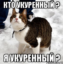 У всех когда-то было такое впервые!