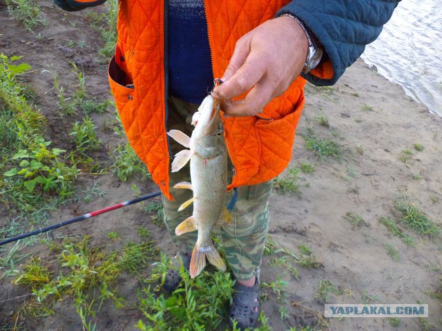 Рыбалка в Астрахани