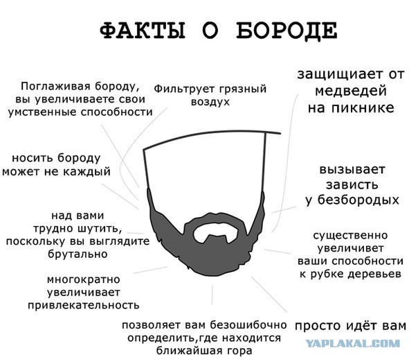 Борода у мужчин в России запрещена?