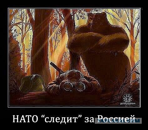 План России глазами Запада