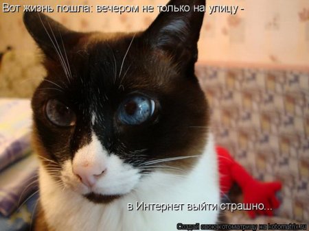 Подборка прикольных фото.
