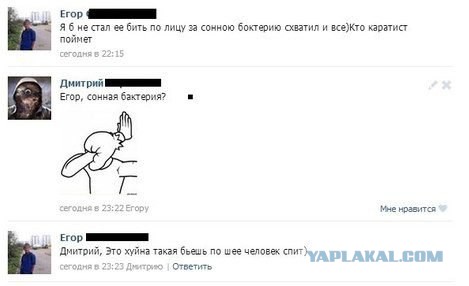 Грамматнасть и нтилехт вконтактовских обитателей