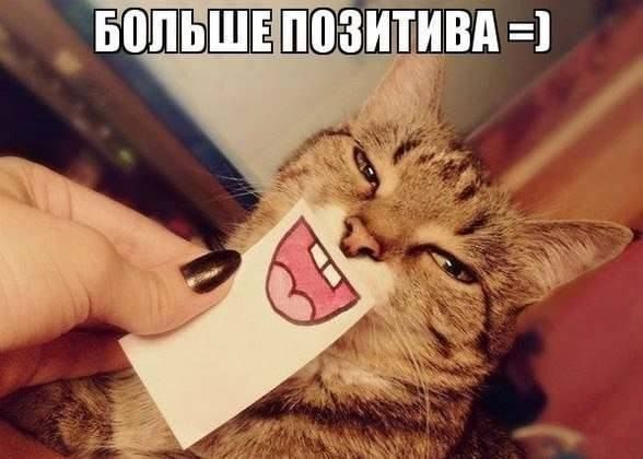 Картинки