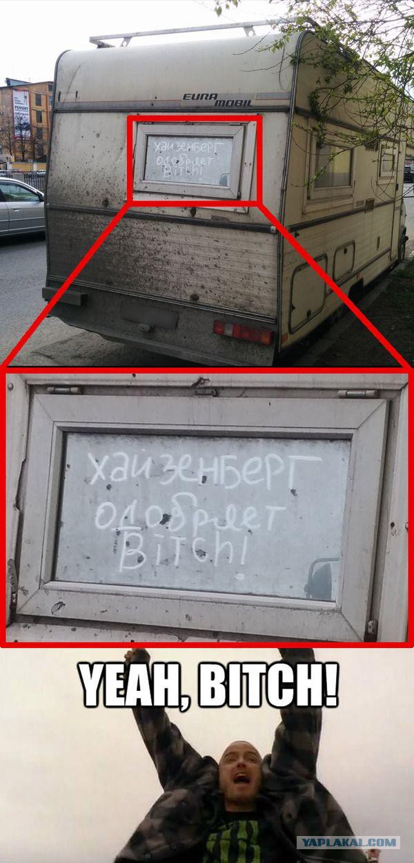 Смешные картинки с подписями