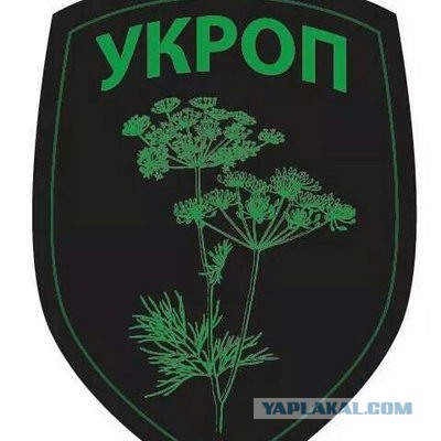 Добряки, плюсующие всех подряд