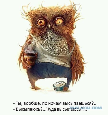 Поднимаем настроение