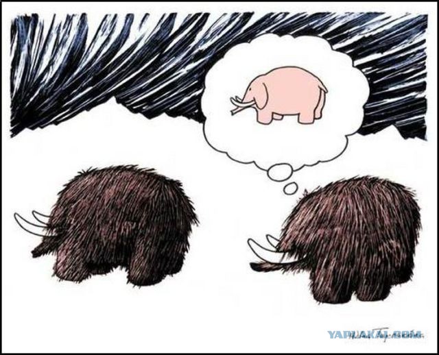 Пост ради Юки.