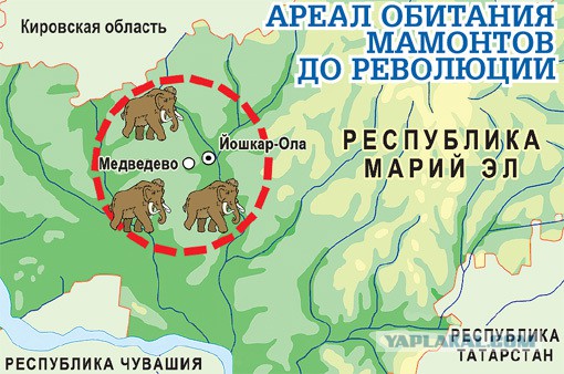 Пост ради Юки.