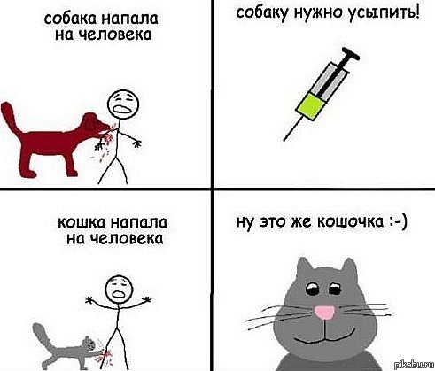 Кот&Пес