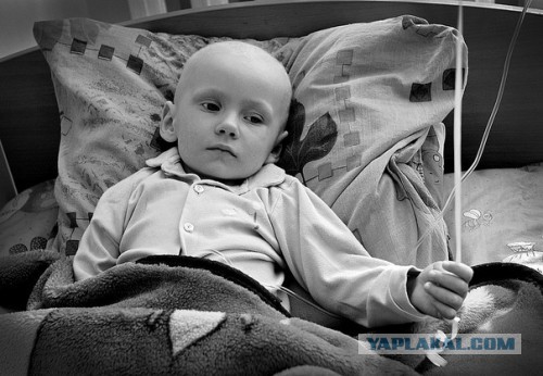 Инстаграм наследного принца Дубая