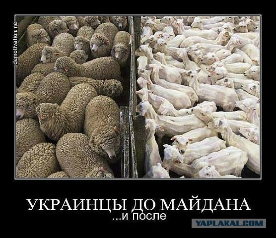 Яценюк: задание на 2015 год - выжить