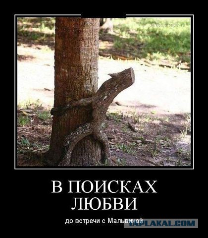 Веселые картинки