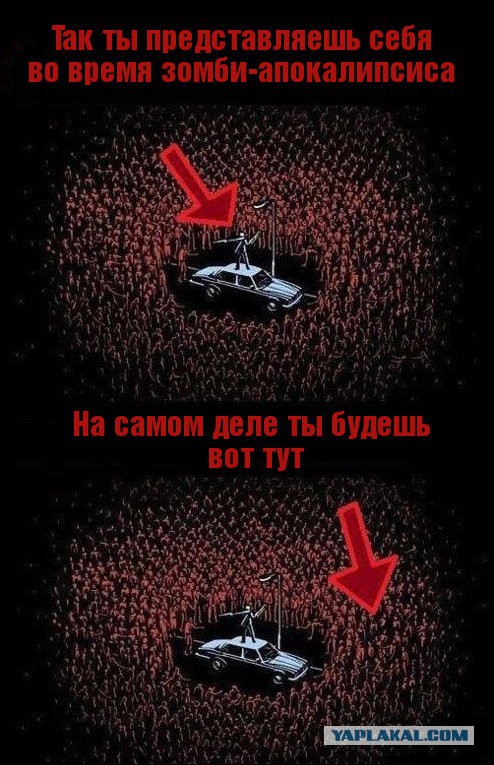 У России хотят украсть будущее, подарив Майдан.