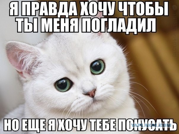 Транквилизаторы и самая лучшая работа