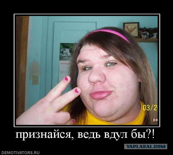 Вестник Соцсетей