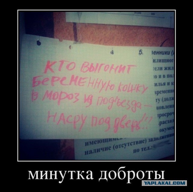 15 объявлений месяца, которые невозможно забыть