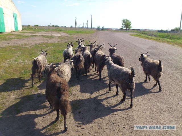 Как делаются теплые вещи