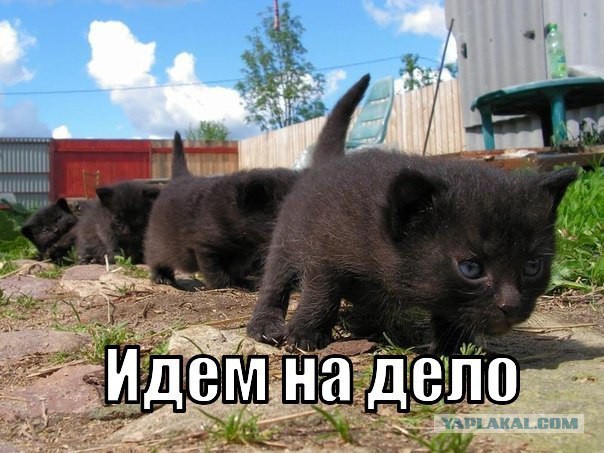 Пятница немного настроения