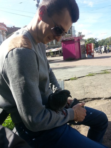 Наглые пернатые морды