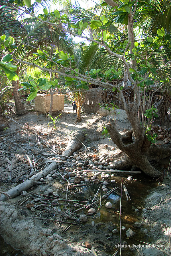 Острова мечты. Четыре туриста и Тандуай.