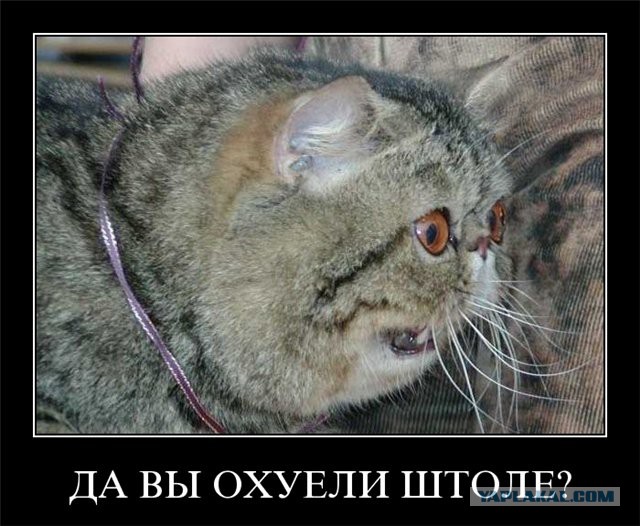 Никогда еще меня не бросали из-за такого....)))