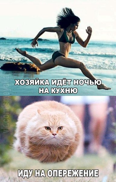 Картинки на пятницу