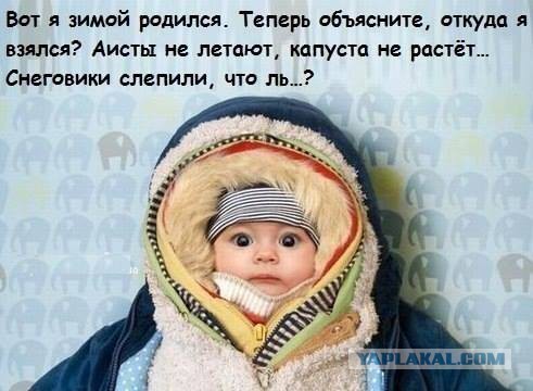 Подборка смешных и забавных фото