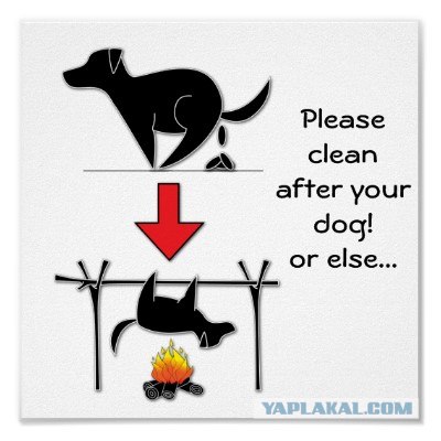 Догхантеры травят собак порошком в парках