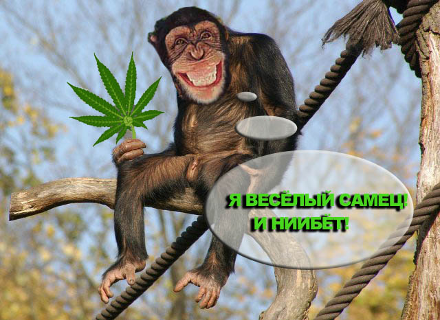 Грустный самец