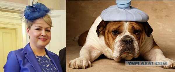 Королева-мать в недоумении.   Для русских - ничего нового.