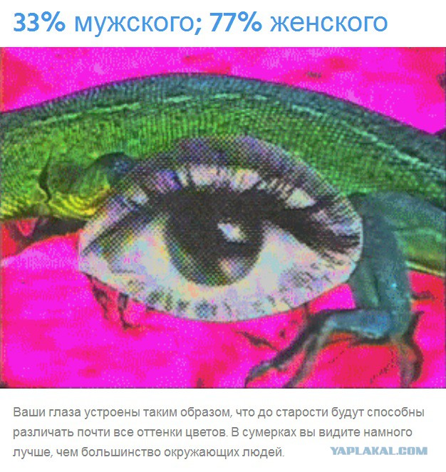 Тест: Вы воспринимаете этот мир глазами мужчины или женщины?