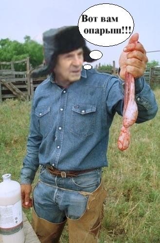 Фотожаба: Продаю матыля
