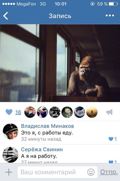 Ужасы и приколы из соцсетей 18+