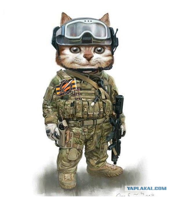 Экзорцисты есть у кого знакомые?