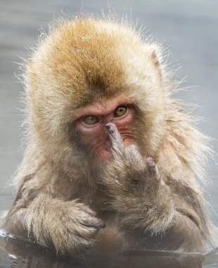 Картинки из сети (07.04.16)