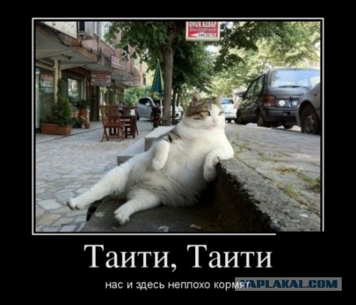 Масштаб солнечной системы